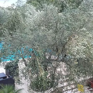  Appartamento Carolina